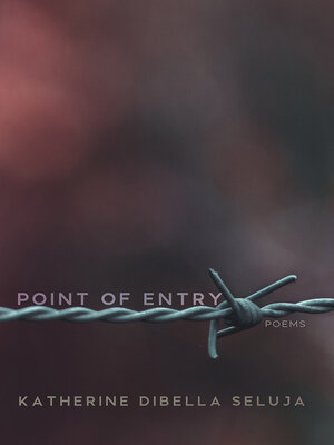 cover image of Point of Entry